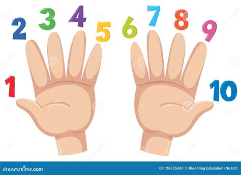 Count to ten with finger stock vector. Illustration of icon - 126755361