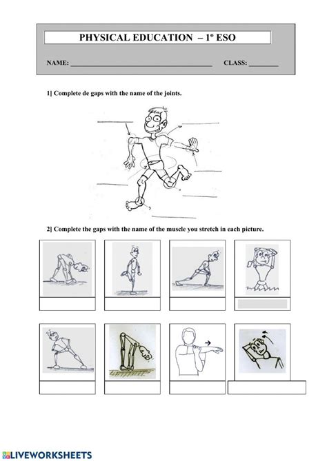 Physical Education 的图像结果