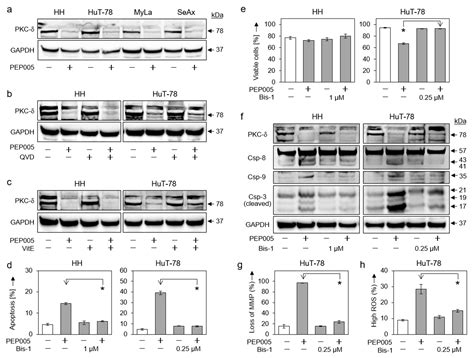 Correction: Sumarni et al. Targeting Cutaneous T-Cell Lymphoma Cells by ...