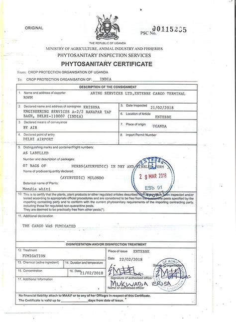 Buy SKM Natural or Nothing Mulondo Mondia Whitei Root Powder 100 Grams ...