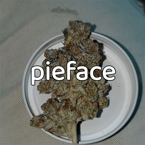 Just a shout out to all my Veteran family and the MA and US veteran Im just taking a moment to ...