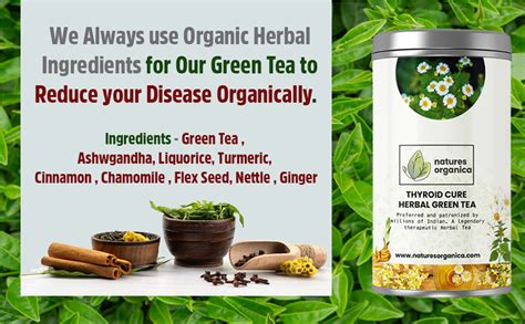 Natures Organica Thyroid Cure Herbal Green Tea, Ayurvedic Tea for ...