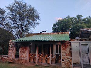 TREES N TIGERS SARISKA (Rajasthan) - Hotel Reviews, Photos, Rate ...