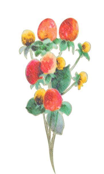 Image result for Minimalist String Drawing Flower