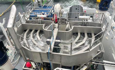 Why Does SFI SYSTEM Use Free Fall Flushing for Sea Lice Treatment ...