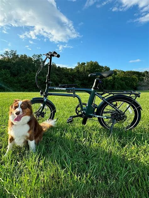 Electric Bike Display Settings 的图像结果