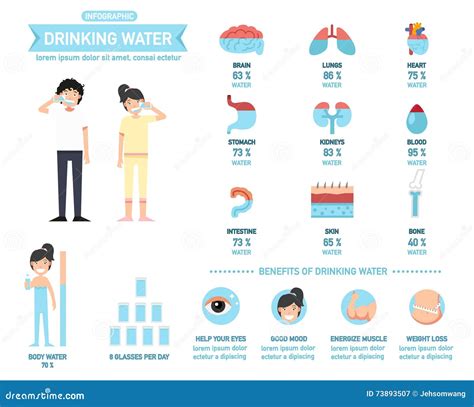 Benefits of Drinking Water Infographics-body Water, Vector Stock Vector - Illustration of print ...