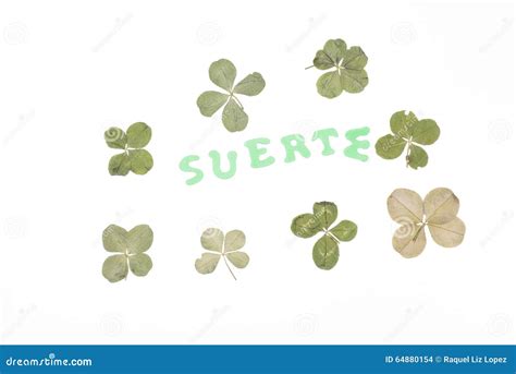 Luck (in spanish). stock photo. Image of nature, multipurpose - 64880154