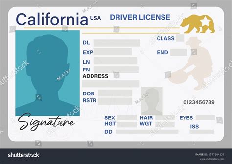 California Drivers License Isolated On White Stock Vector (Royalty Free) 2577504127 | Shutterstock