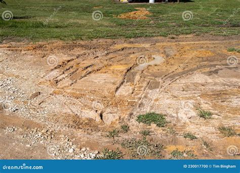 Deep tire ruts in lawn stock photo. Image of damaged - 230017700
