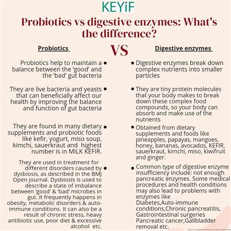 Probiotics vs digestive enzymes: What's the difference?