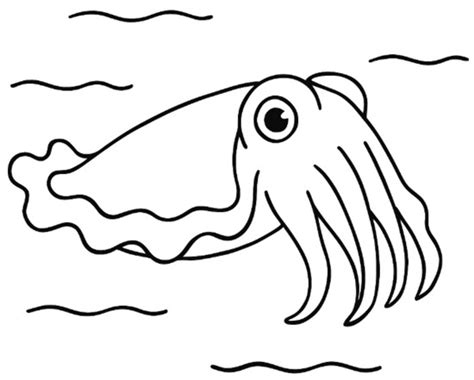 Development of a Cuttlefish-Inspired Amphibious Robot with Wave-Motion ...