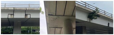 A Comprehensive Review of the Key Deterioration Factors of Concrete ...