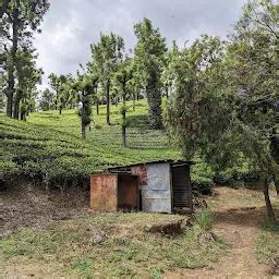 Best Top Rated Nature preserve in Attakatti, Tamil Nadu, India | Yappe.in