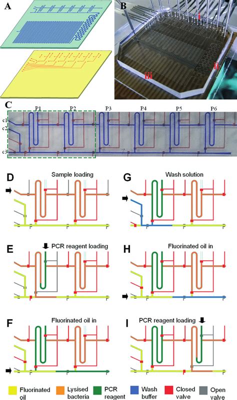 Continuous Flow Microfluidics 的图像结果