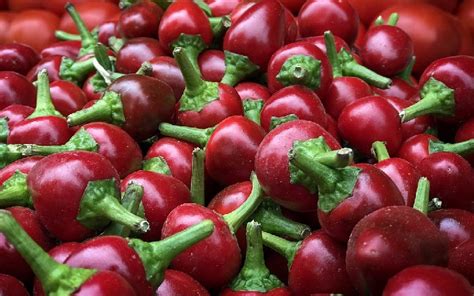 Know Your Ingredients: Guide To Chilli Varieties In India