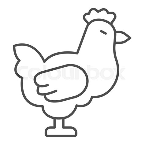 Free Clipart Chicken Outlines