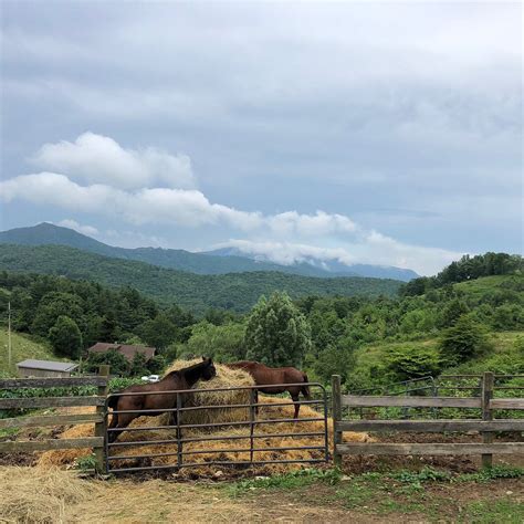 BANNER ELK STABLES (2025) All You Need to Know BEFORE You Go (with ...