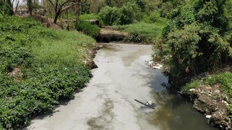 Palghar: MPCB issues notice to Tarapur Environment Protection Society ...