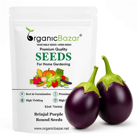 Buy Best Quality Brinjal Purple Round Seeds Online - Organicbazar