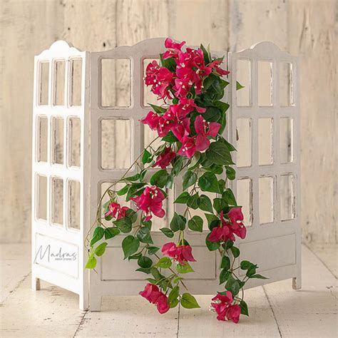 Bougainvillea Bunch – Madras Prop Store