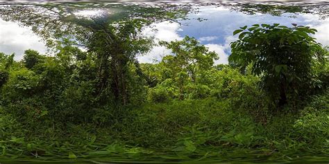 Image result for Equirectangular Panoramic