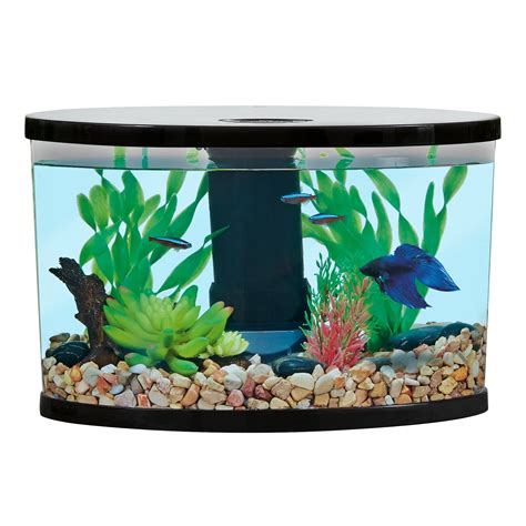 50 Gallon Fish Tank Petsmart - Telnyet Aquarium Fish
