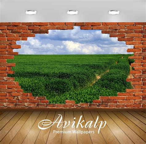 Buy Avikalp Exclusive 3DAZP1984 Field Soybean Soy Bean Legume Red Brick ...