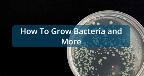Biology Lab Experiments 的图像结果