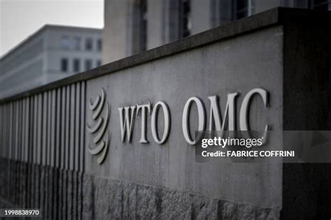 WTO 的图像结果