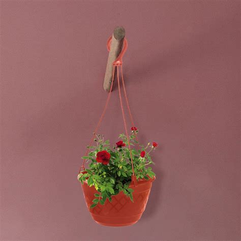 Fern Hanging Basket (Set of 3) – TrustBasket