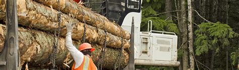 Overloading 的图像结果