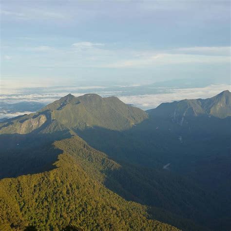 GUNUNG MULU SUMMIT TREK (2026) All You Need to Know BEFORE You Go (with ...