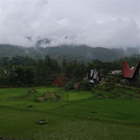 JALAN JALAN TORAJA (2025) All You Need to Know BEFORE You Go (with ...