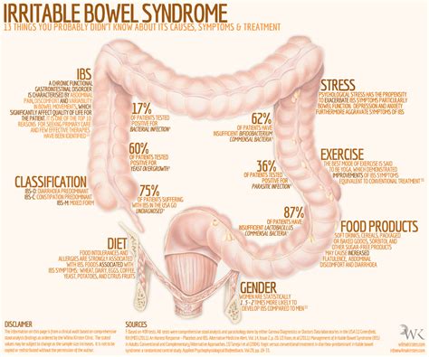 What causes ibs - verimine