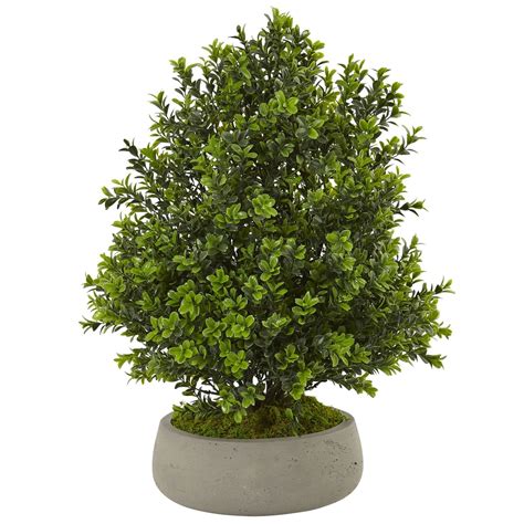 Boxwood Plant in Stone Planter (Indoor/Outdoor) | Nearly Natural