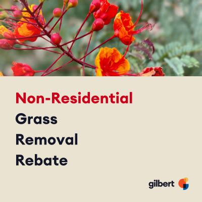 Water Conservation Rebates | Gilbert, Arizona