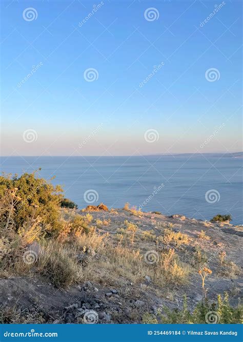 Sea View 的图像结果