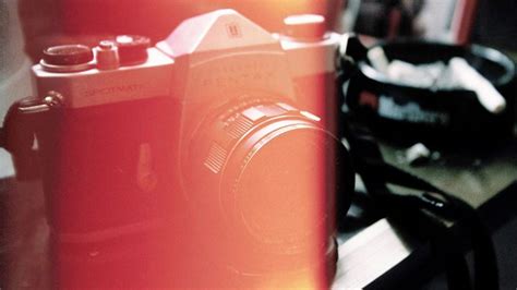 Squirrel Park | Film Cameras & Expired Films