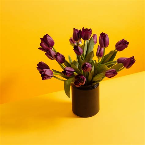 Tulip meaning and symbolism | Floom