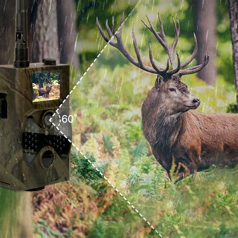 Telecamera professionale per la fauna selvatica con trasmissione del ...