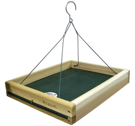 The 4 Blue Jay Feeders Working Best For Me (2022) - Bird Watching HQ