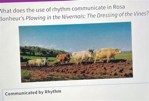 Solved What does the use of rhythm communicate in Rosa | Chegg.com