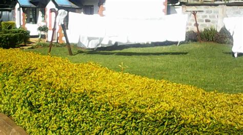 DELEGACY RESORT (Eldoret) - Hotel Reviews & Photos - Tripadvisor