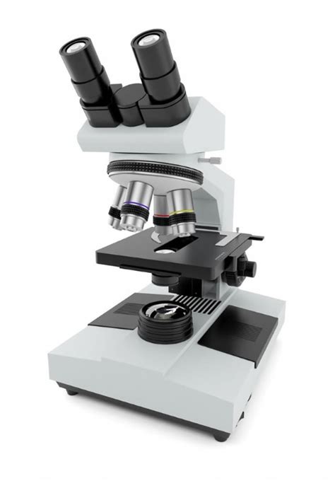 Modern Microscope 的图像结果