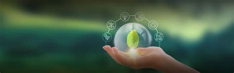 Environment Sustainable Development | RSPL Group