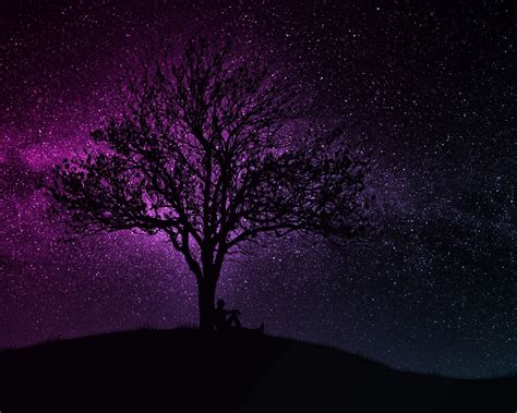 Download wallpaper 1280x1024 tree, silhouette, starry sky, dark, art ...