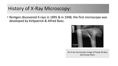 x ray microscopic image analysis to detect infestations caused by insects in grain. Look at ...
