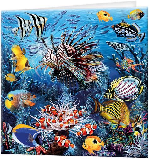 Amazon.com : 3D LiveLife Greeting Card - Wonders of The Reef from ...