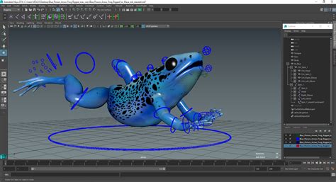 3D Blue Poison Arrow Frog Rigged for Maya model | 3D Molier International